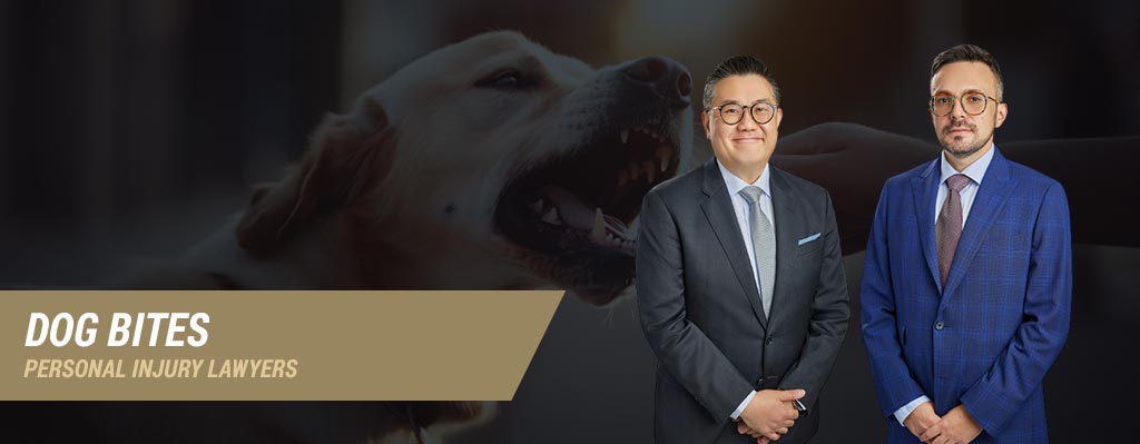 Dog Bites Lawyers in Ottawa